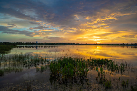 Evening landscape over lake water in southern tropical wetlands. Amazing Florida nature at sunsetの写真素材