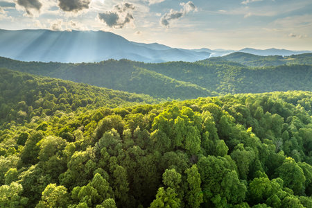 Great Smokey Mountains at sunrise in summer season. Mountain wooded hills in North Carolina Appalachians, USAの写真素材