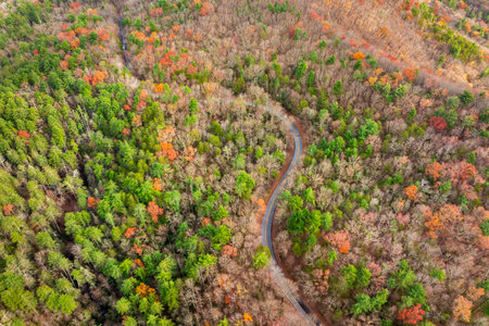 Peaceful mountain road in North Carolina during peak fall season at sunset. Appalachian landscape filled with vivid autumn colorsの写真素材