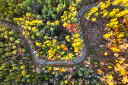 Peaceful mountain road in North Carolina during peak fall season at sunset. Appalachian landscape...