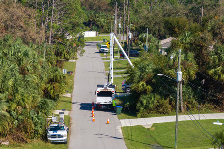 Vegetation trimming around power line. Municipal electrician worker cut tree branches eliminating the breakage of the electric grid wiresの写真素材