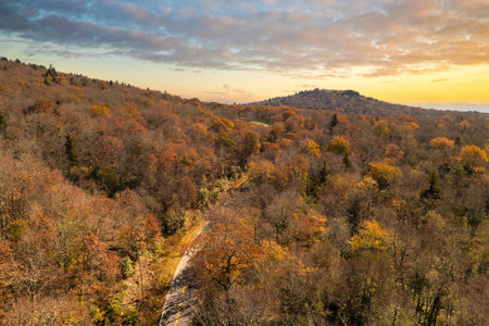 Winding mountain road in autumn woods. Appalachian mountains in North Carolina with yellow forest trees at fall season. Beauty of autumnal natureの写真素材
