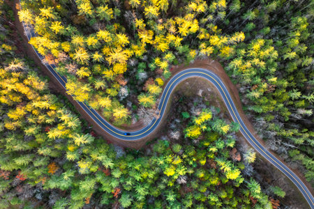 Car driving along mountain road surrounded by colorful autumn trees. Scenic road trip through the...