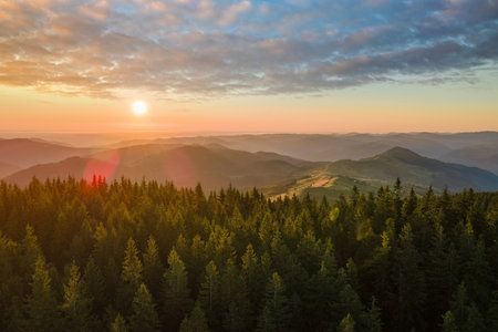 Aerial view of amazing mountain landscape. Bright colorful sunset in wild national park highlands. Dark spruce woods illuminated with yellow setting sunの写真素材