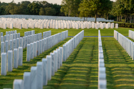 Army veteran cemetery with white headstones. Tombs of retired military soldiers. Memorial Day conceptの写真素材