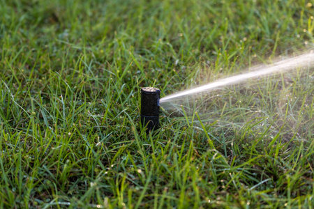 Automatic irrigation system with water sprinkler for maintaining grass lawn