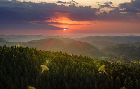 Beautiful nature landscape. Aerial view of colorful sunset in wild mountains. Dark pine forest illuminated with bright setting sunの写真素材