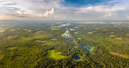 Florida wetlands with water between green wild vegetation. Tropical ecosystem at sunsetの写真素材