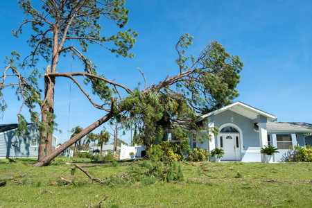 Fallen down big tree on a house roof after hurricane in Florida. Consequences of natural disaster