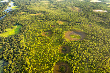 Florida wetlands with water between green wild vegetation. Tropical ecosystem at sunsetの写真素材