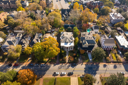 Victorian houses in old historical city Macon in Georgia. Southern USA cityscape.