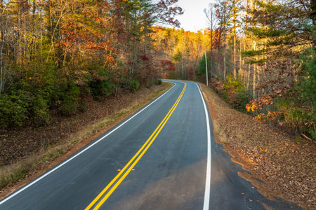 Winding forest road in Tennessee Appalachians during fall. Car traveling through mountain woods under glowing autumn leaves