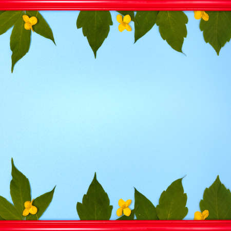 Red wooden picture frame decorated with small yellow flowers and green leaves on blue copy space background.の写真素材