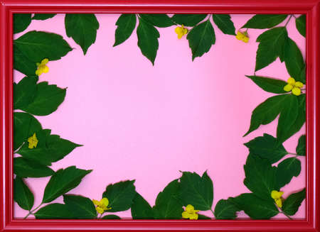 Red wooden picture frame decorated with small yellow flowers and green leaves on pink copy space background.の写真素材