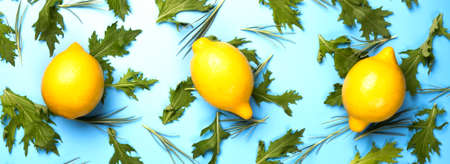 Close up of citrus lemon fruits on green rucola salad leaves pattern on blue backround.の写真素材