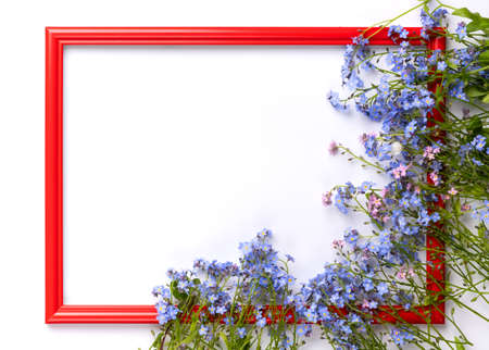 Flat lay view of red wooden frame with small violet flowers and green leaves on white background.の写真素材