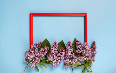 Frame made of fresh lilac flowers and petals on blue pastel background. Beautiful spring mockup backdrop. Flat lay, top view, space for text.の写真素材