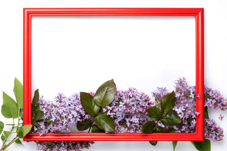 Frame made of fresh lilac flowers and petals on white background. Beautiful spring mockup backdrop. Flat lay, top view, space for text.の写真素材
