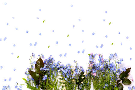 Flat lay view of small violet petal flowers and green leaves on white background.の写真素材