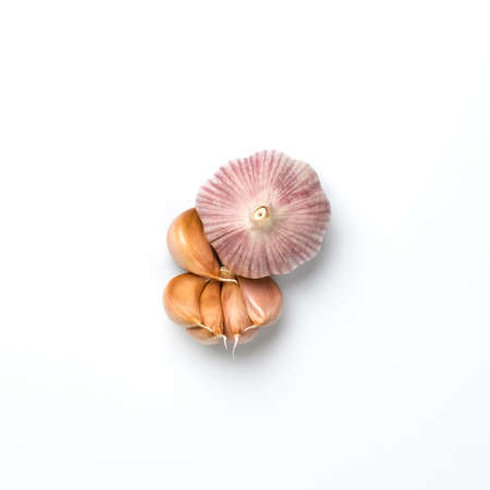 Fresh clean garlic head and cloves isolated on white backgound.の写真素材