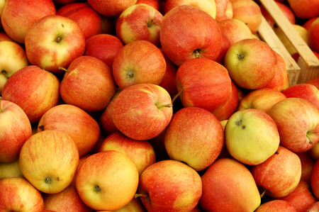 Group of red apples forming a background の写真素材