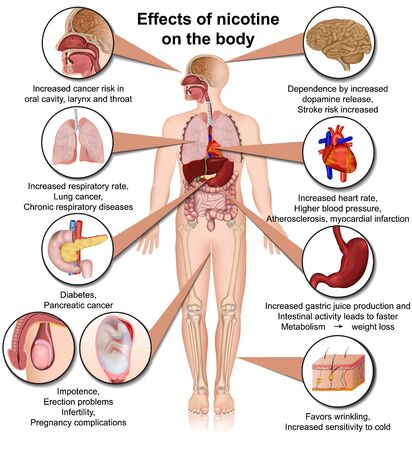 Effects of nicotine and tuxedo on the body medical vector illustration infographic isolated on white backgroundのイラスト素材