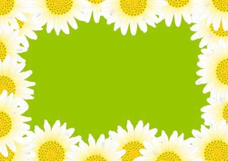 White daisy frameのイラスト素材