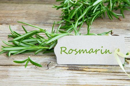 Freshly rosemary on wood の写真素材