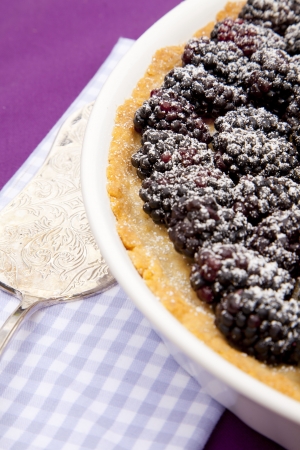 fresh blackberries tartの写真素材