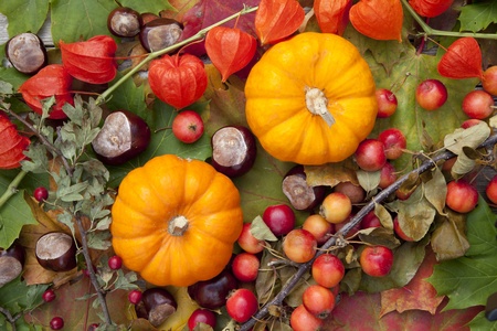 Two Pumpkins