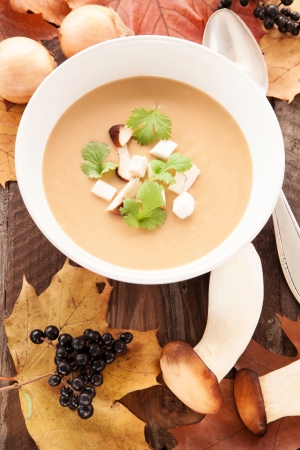 Mushroom soupの写真素材