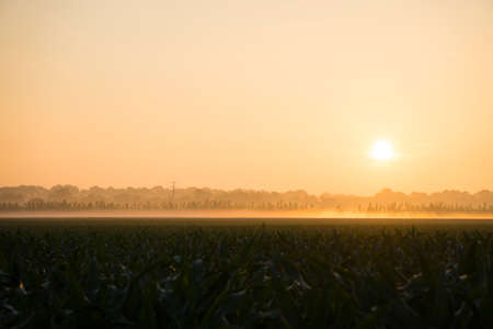 Sunrise in the field near Brunswick / Germanyの写真素材