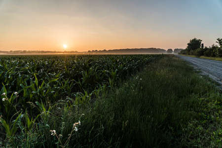 Sunrise in the field near Brunswick / Germany