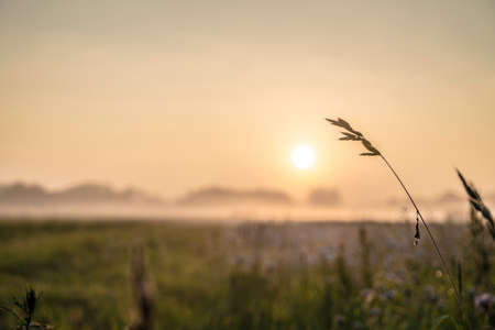 Sunrise in the field near Brunswick / Germanyの写真素材