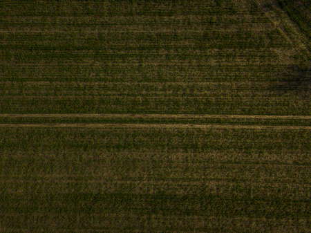 Fields in Saxony-Anhalt (Germany) from above in spring