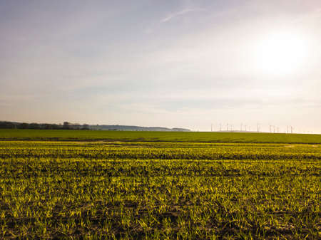 Fields in Saxony-Anhalt (Germany) from above in springの写真素材