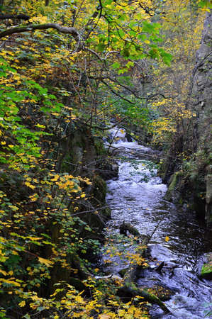 Fall in the Bode Valley in the Harz Mountainsの写真素材