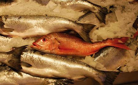 Public Market, Seattle, Washingtonのeditorial素材