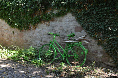 Druebeck Monastery in the Harz Mountains, Saxony - Anhaltの写真素材