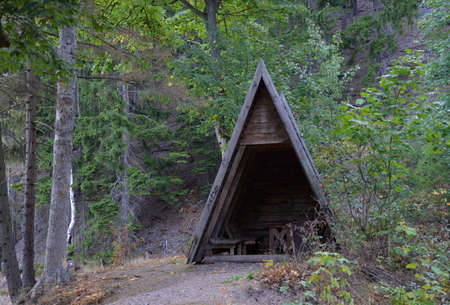 Fall in the Harz Mountains, Saxony - Anhalt