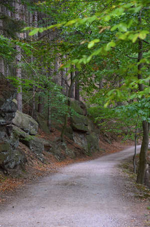 Fall in the Harz Mountains, Saxony - Anhalt