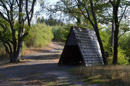 Fall in the Harz Mountains, Saxony - Anhaltの写真素材