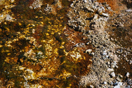 Hydrothermal Color at Yellowstone National Park, Wyoming