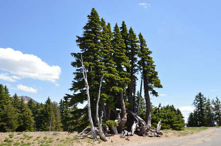 Crater Lake National Park, Oregon