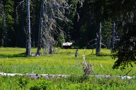 Mount Hood National Forest, Oregonの写真素材