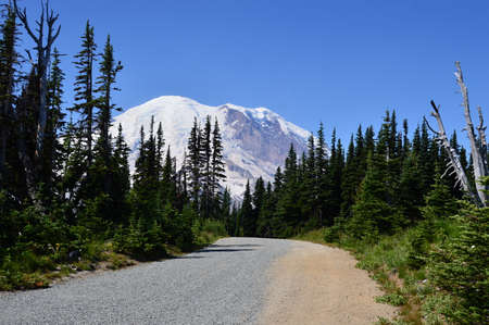 Mount Rainier National Park, Washingtonの写真素材