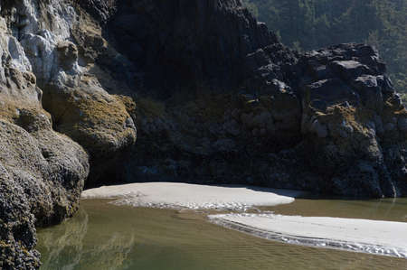 Pacific Coast, Oregonの写真素材