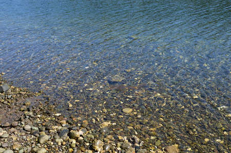 Shore Line at Olympic Peninsula, Washingtonの写真素材