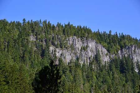 Landscape in Mount Rainier National Park, Washington