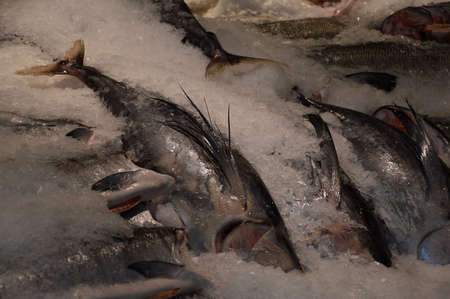 Fish Market in Seattle, Washington